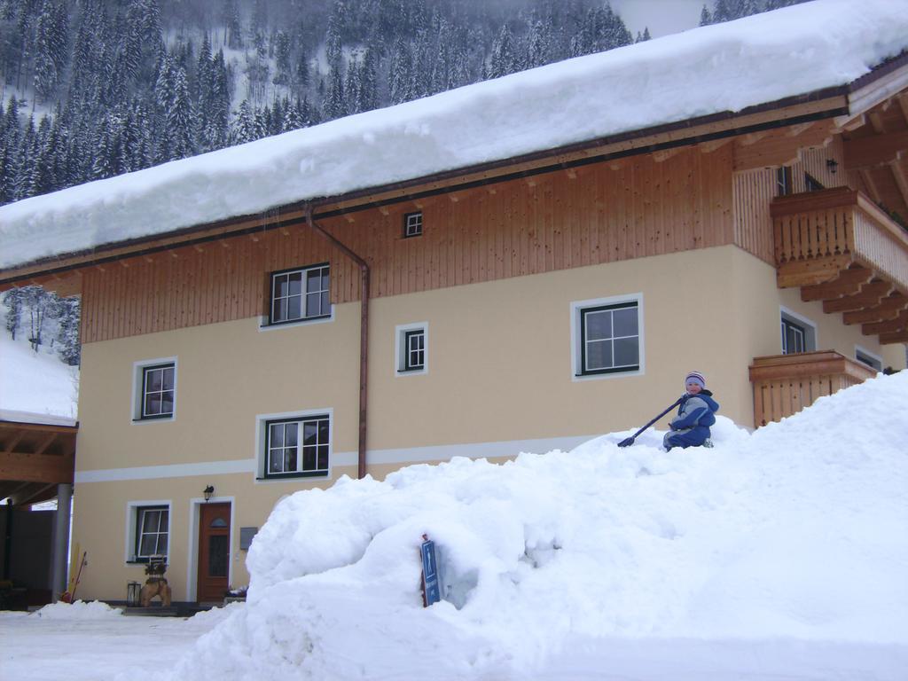 Bio Bauernhof Vorderoberlehen Hotel Werfenweng Exterior photo